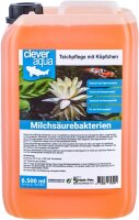 Clever Aqua Milchsäurebakterien Produktabbildung